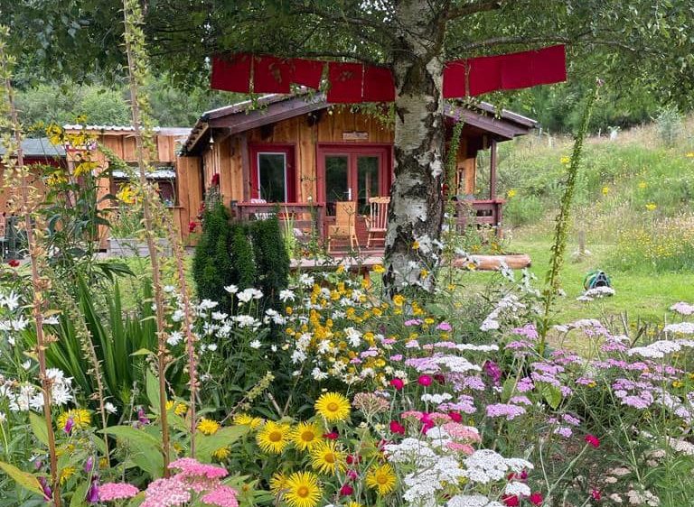 Beautiful wooden cabin surrounded by wild meadow flowers.