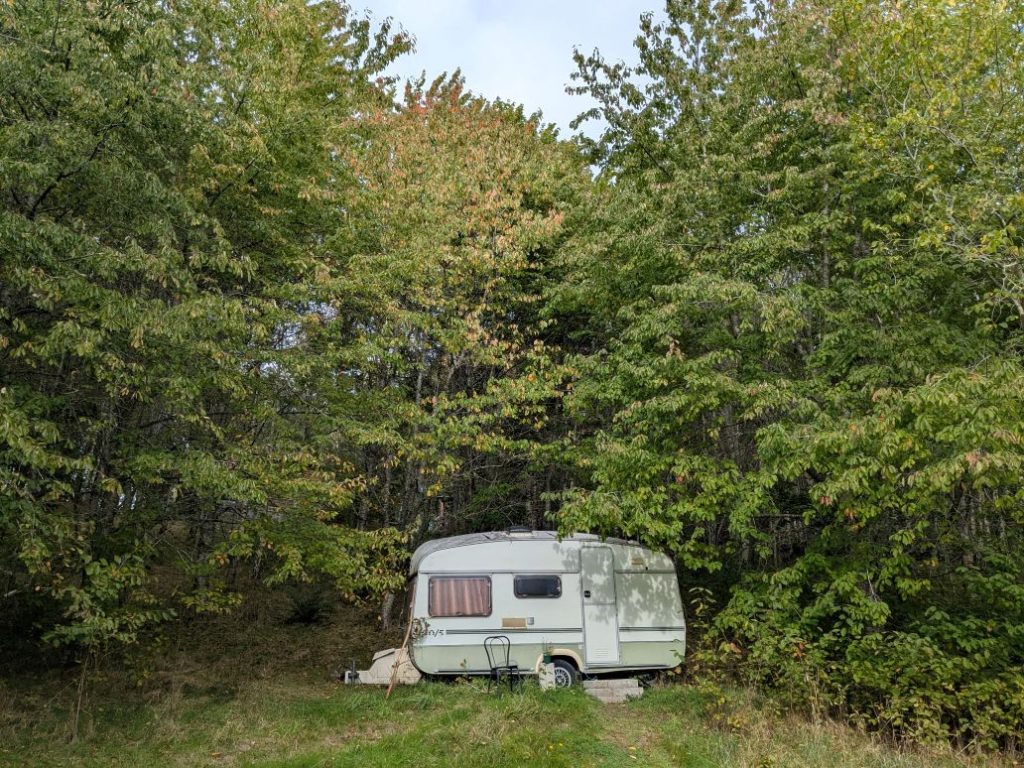 Accommodation caravan surrounded by green trees.