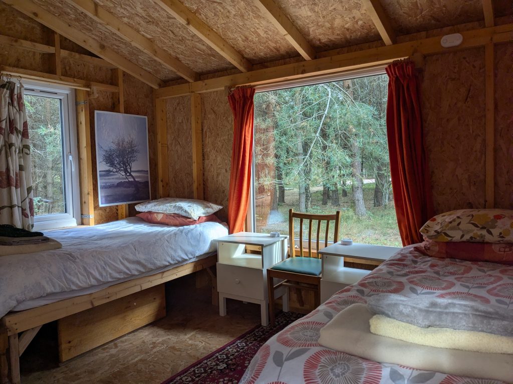 Accommodation wooden cabin with views of pine trees